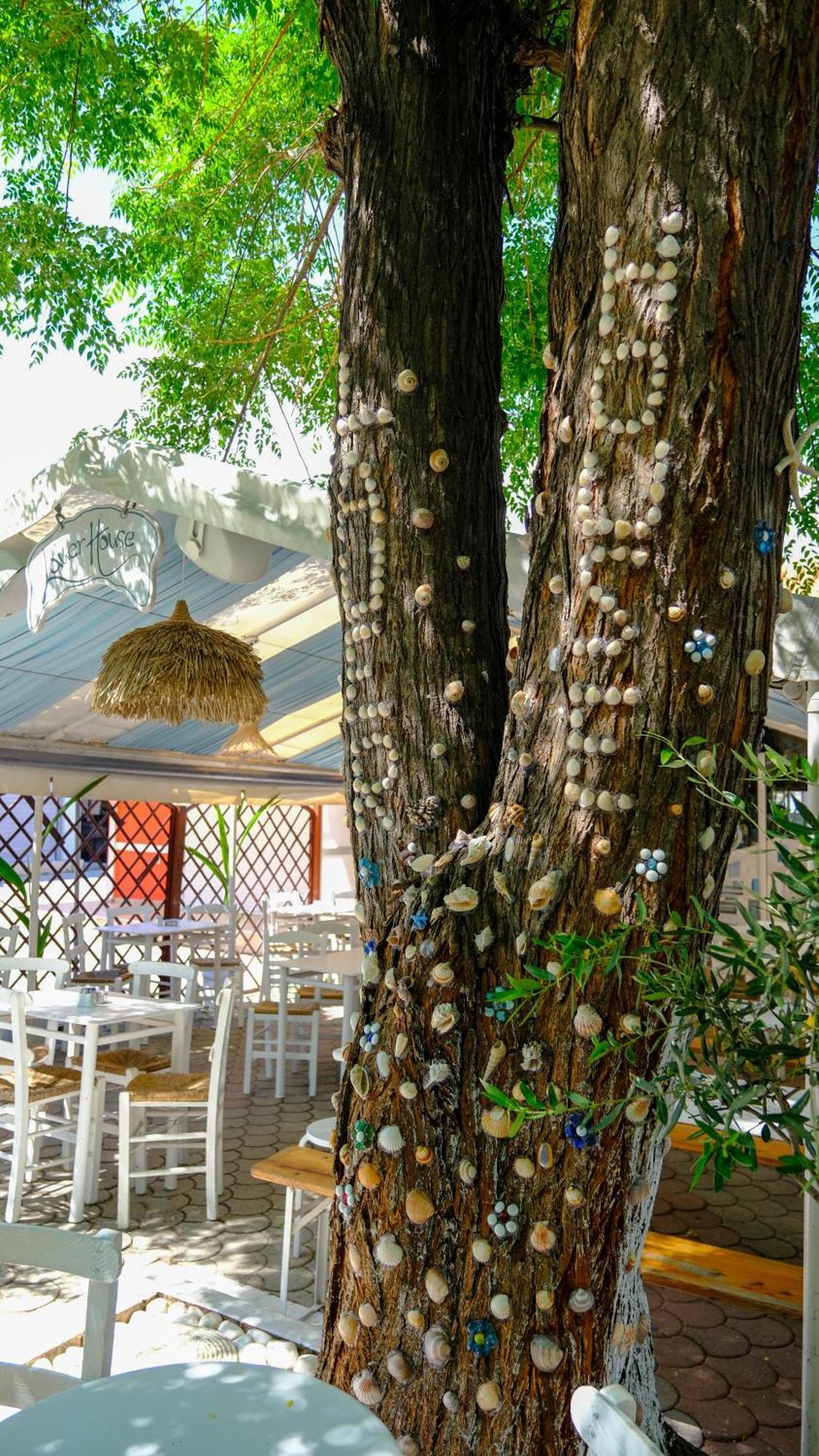 סארטי Cocoon Hotel-Beach Bar מראה חיצוני תמונה