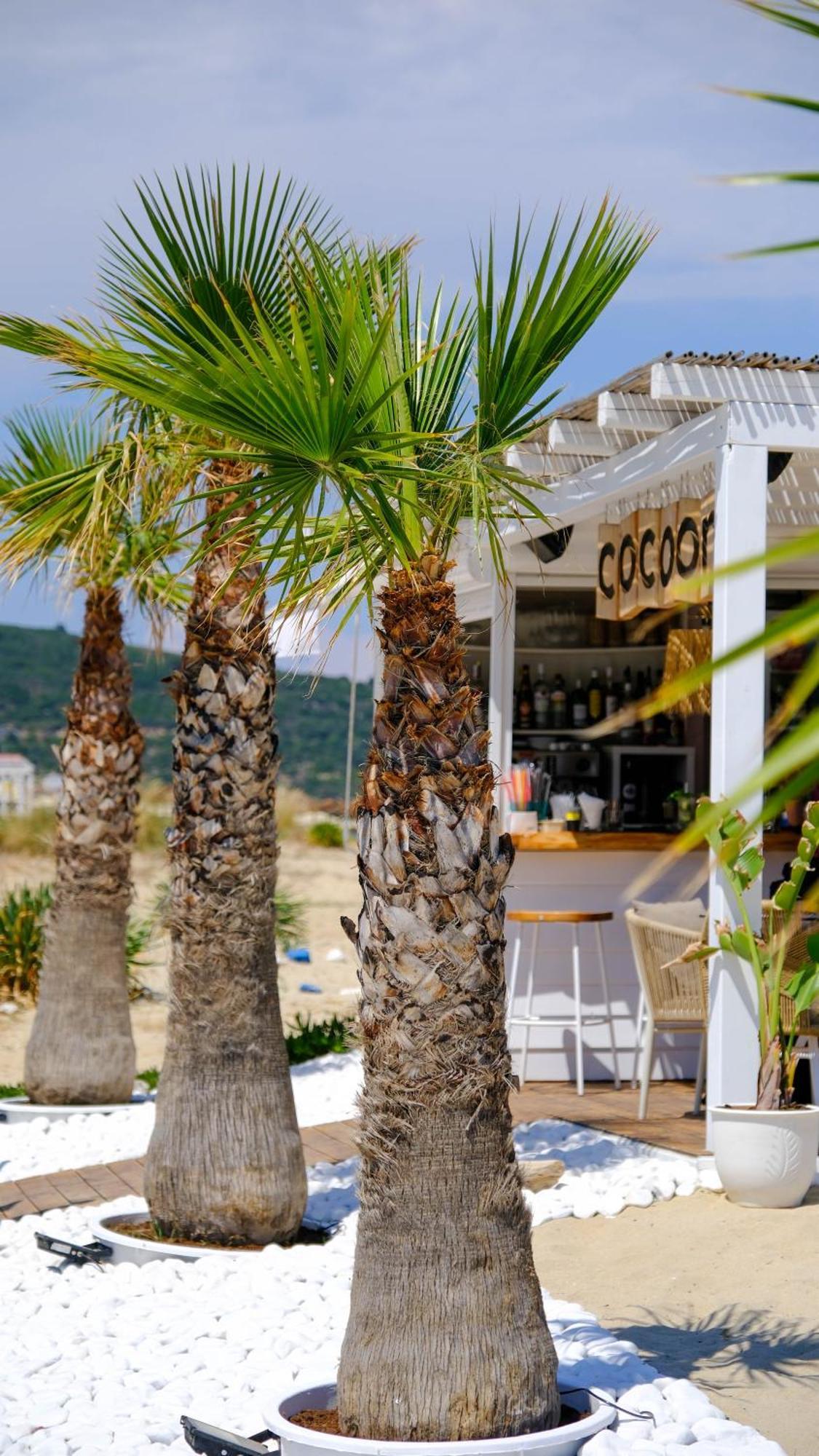 סארטי Cocoon Hotel-Beach Bar מראה חיצוני תמונה